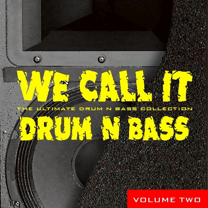 VARIOUS - We Call It Drum 'N' Bass Vol 2
