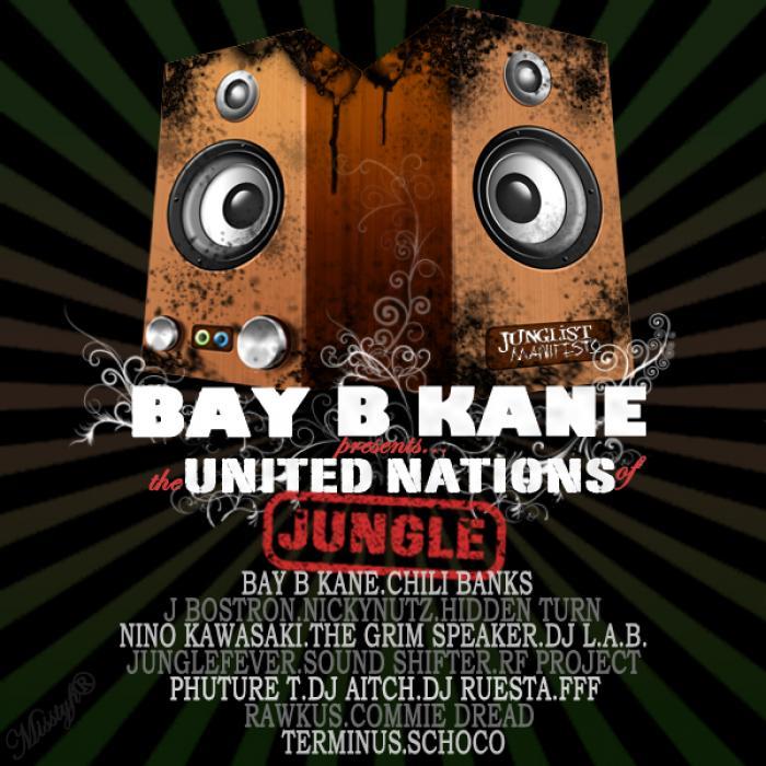 BAY B KANE/VARIOUS - Bay B Kane Presents: The United Nations Of Jungle