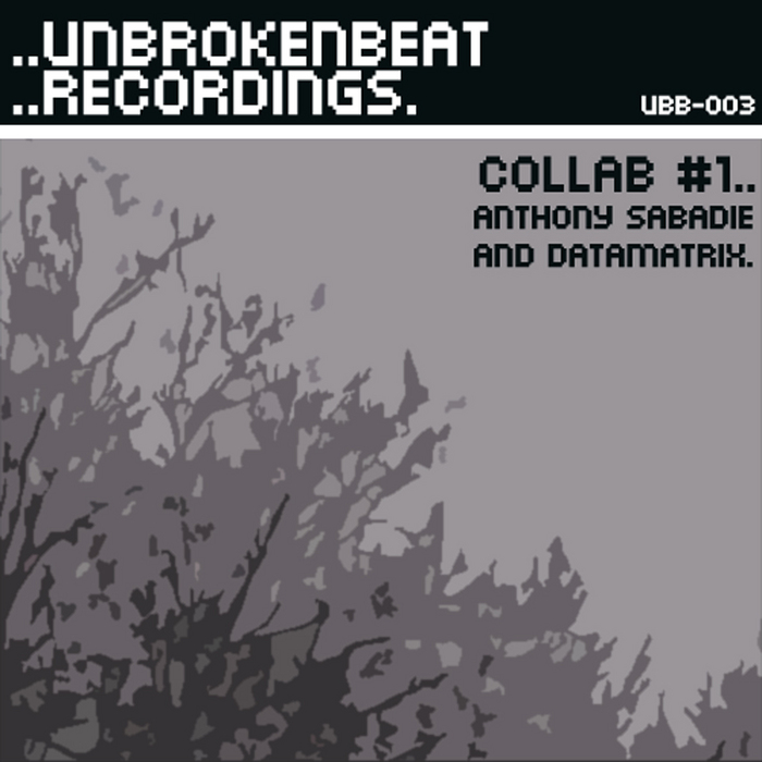 SABADIE, Anthony/DATAMATRIX - Collab #1 EP