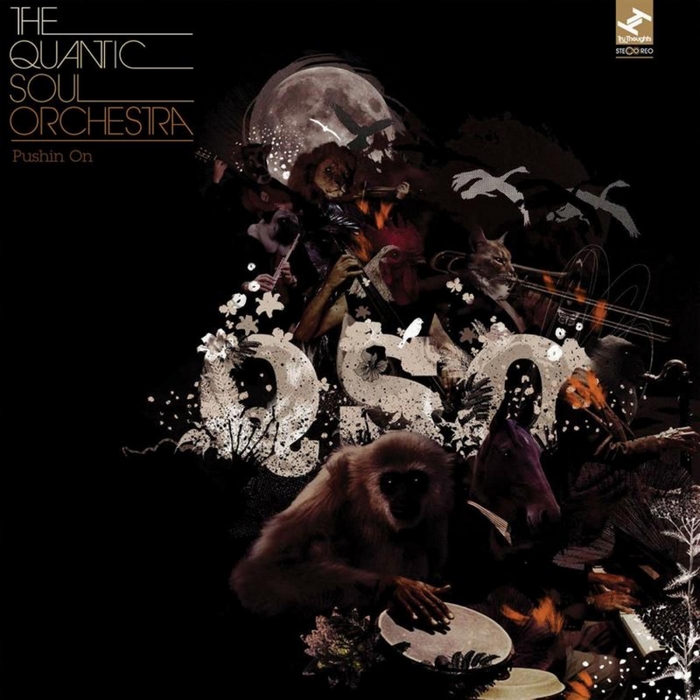 QUANTIC SOUL ORCHESTRA, The - Pushin On