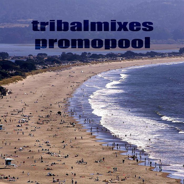 VARIOUS - Tribalmixes Promopool
