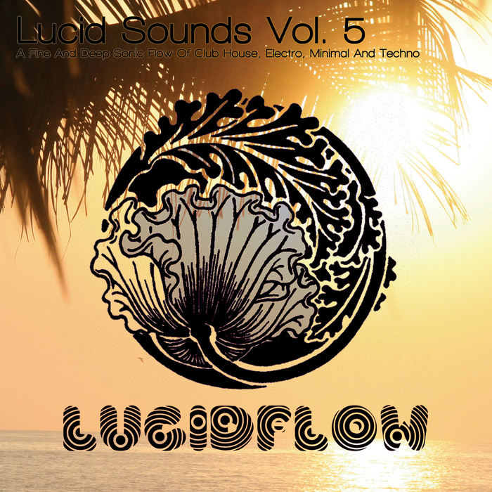 VARIOUS - Lucid Sounds Vol 5: A Fine & Deep Sonic Flow Of Club House Electro Minimal & Techno