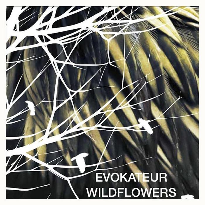 EVOKATEUR - Wildflowers