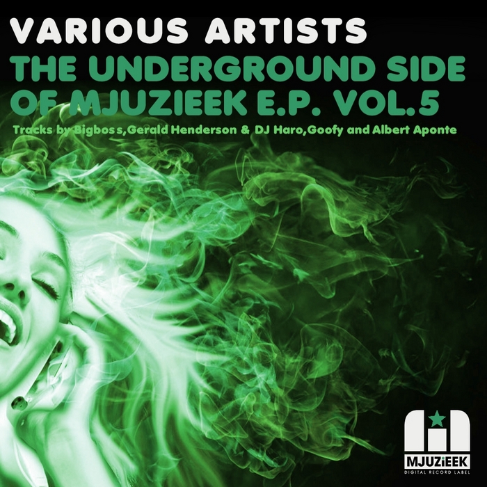GOOFY/GERALD HENDERSON/DJ HARO/BIGBOSS/ALBERT APONTE - The Underground Side Of Mjuzieek EP Vol 5