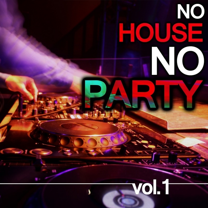 VARIOUS - No House No Party Vol 1