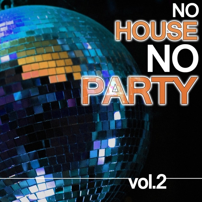 VARIOUS - No House No Party Vol 2