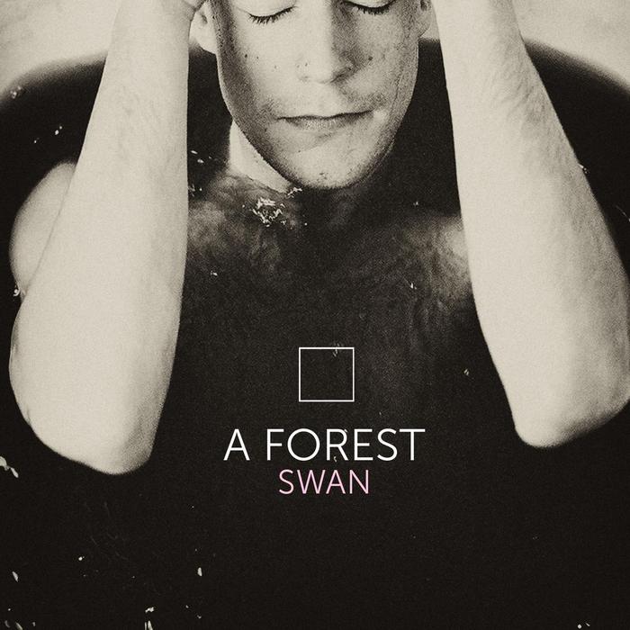 A FOREST - Swan