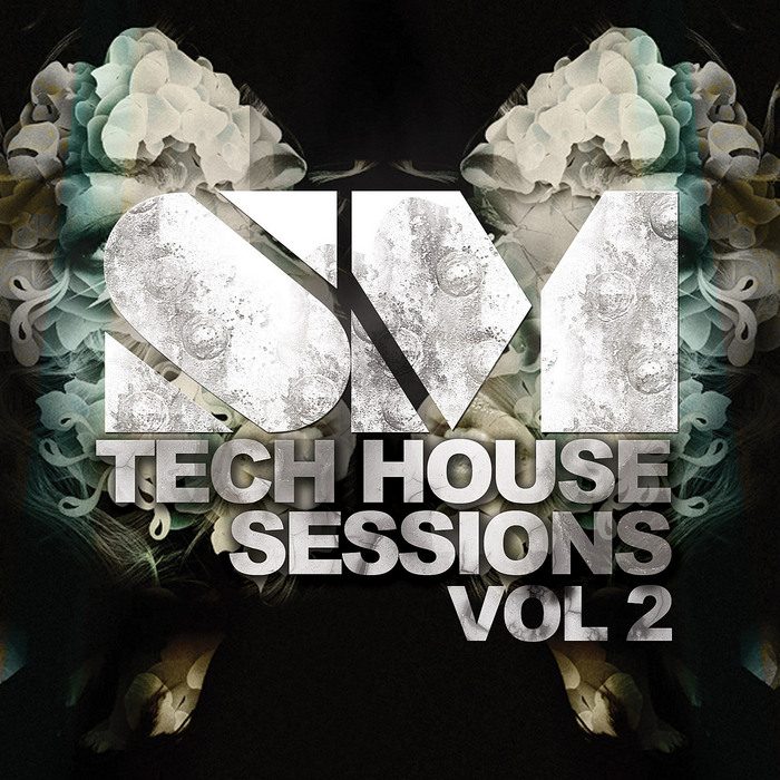 VARIOUS - Tech House Sessions Vol 2