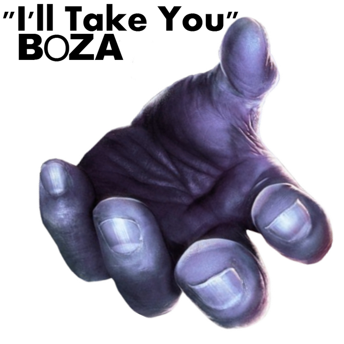 BOZA - I'll Take You