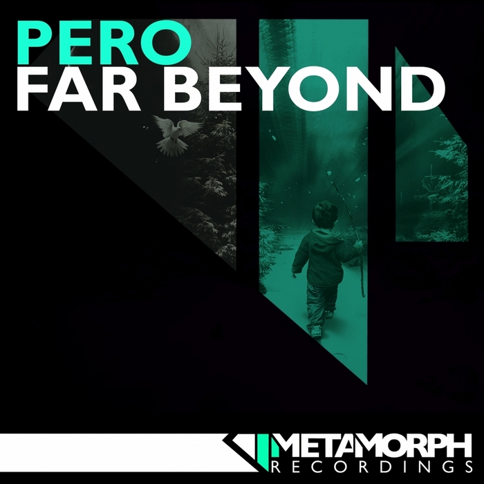 Far beyond the world ten. Further beyond. Emptiness обложка. Torture squad. Обложка альбома pantera - far beyond driven.