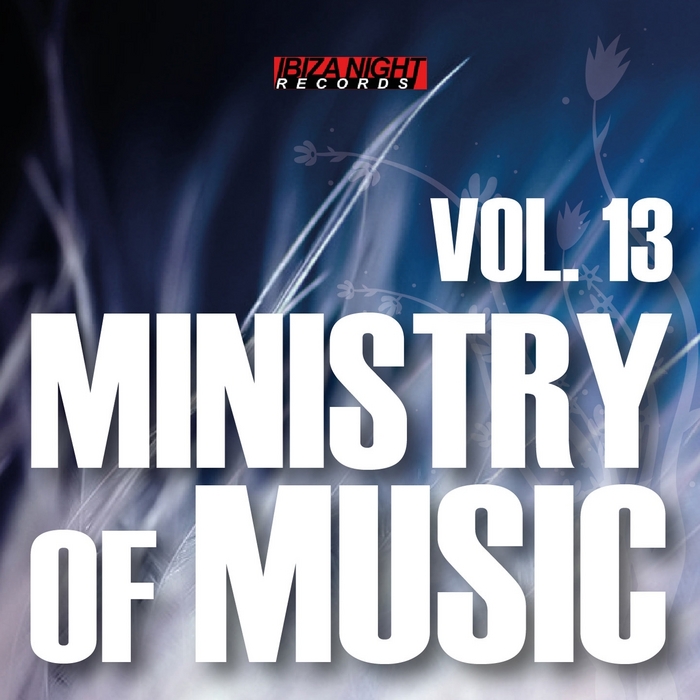 VARIOUS - Ministry Of Music, Vol 13