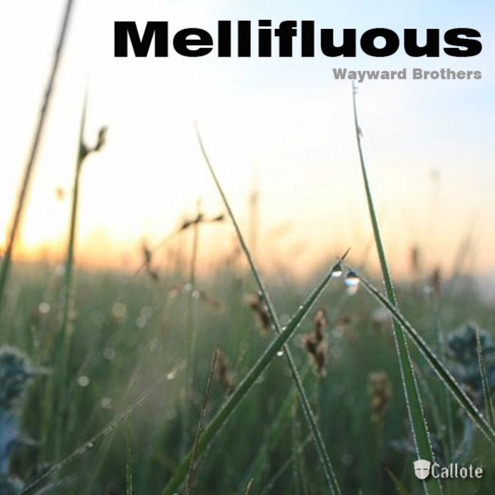 WAYWARD BROTHERS - Mellifluous
