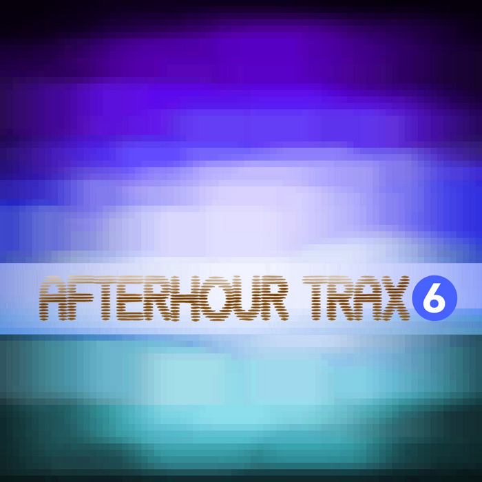 VARIOUS - Afterhour Trax #6