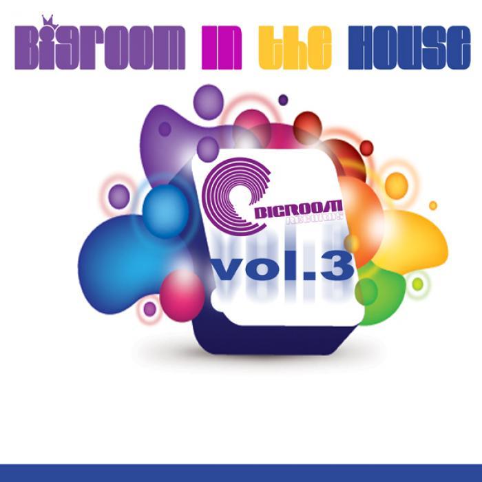 VARIOUS - Big Room In The House Volume 3 (WMC Edition)