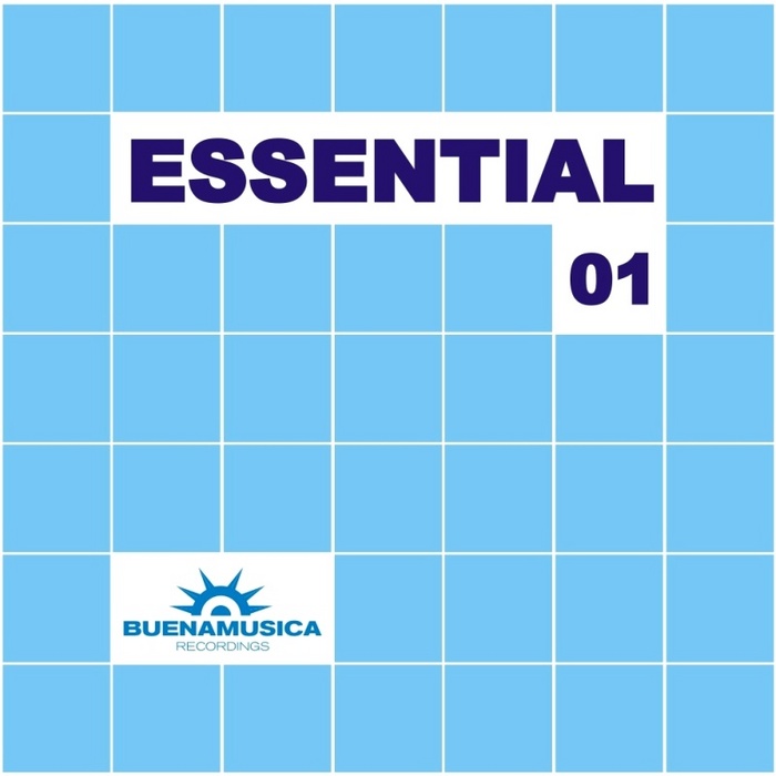 VARIOUS - Essential 01