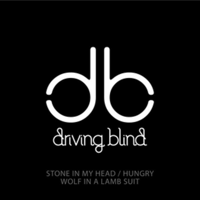DRIVING BLIND - Stone In My Head