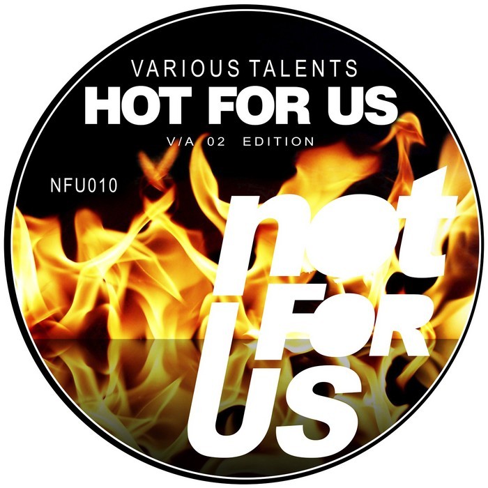 VARIOUS - Hot For Us 02