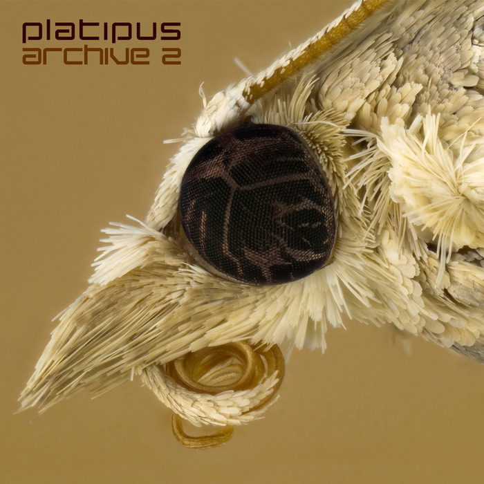 VARIOUS - Platipus: Archive Two