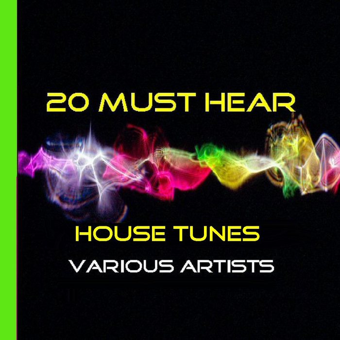 VARIOUS - 20 Must Hear House Tunes