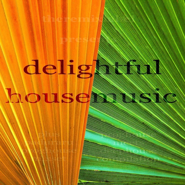 VARIOUS - Delightful Housemusic (Top Tunes Proghouse Meets Deephouse Compilation In E-Key) (unmixed tracks)