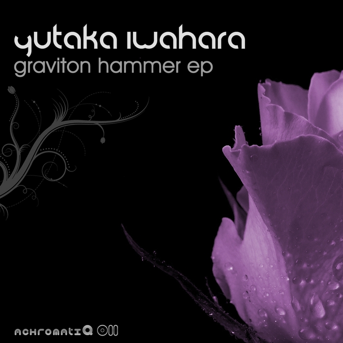 IWAHARA, Yutaka - Graviton Hammer EP