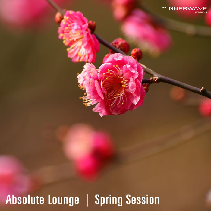 VARIOUS - Absolute Lounge: Spring Session