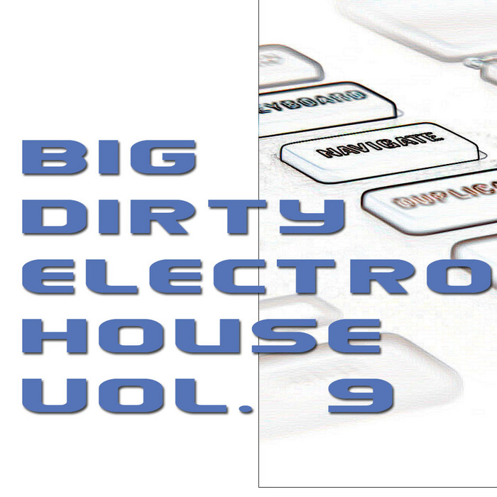 STEREOLINER - Big Dirty Electro House Vol 9