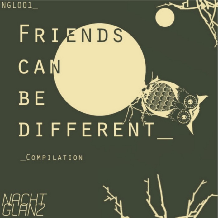 VARIOUS - Friends Can Be Different