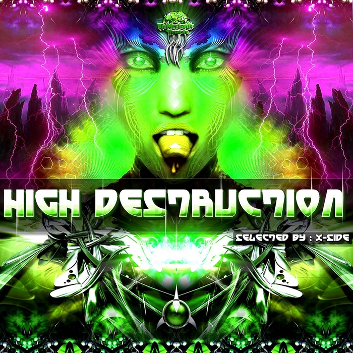 VARIOUS - High Destruction: Vol 1