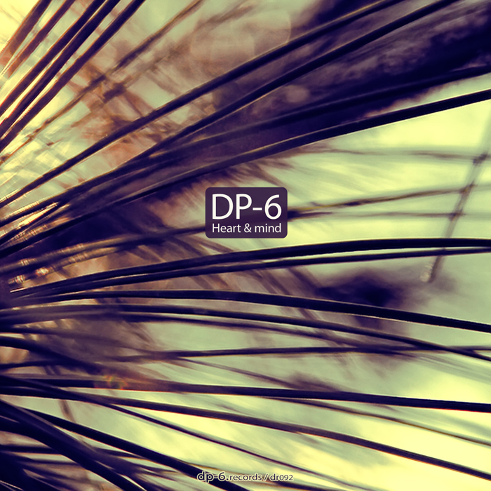 DP-6 - Heart & Mind