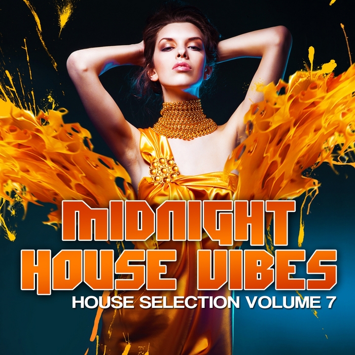 VARIOUS - Midnight House Vibes: House Selection Vol 7