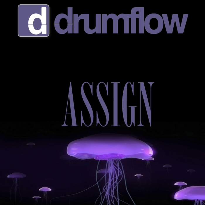 DRUMFLOW - Assign