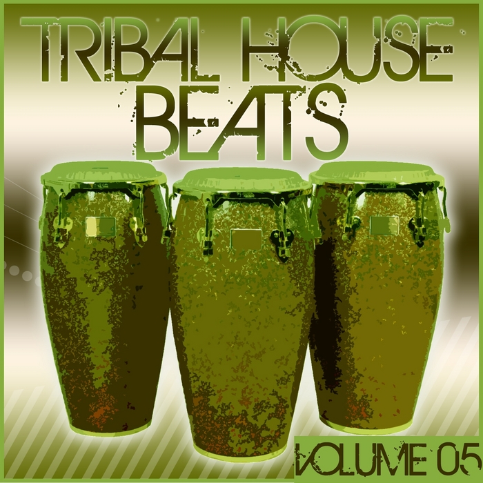 VARIOUS - Tribal House Beats Vol 5