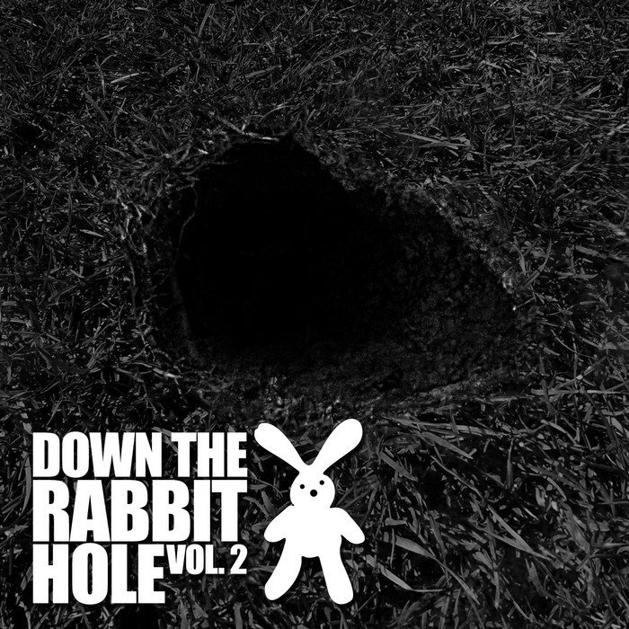 VARIOUS - Down the Rabbit Hole, Vol 2
