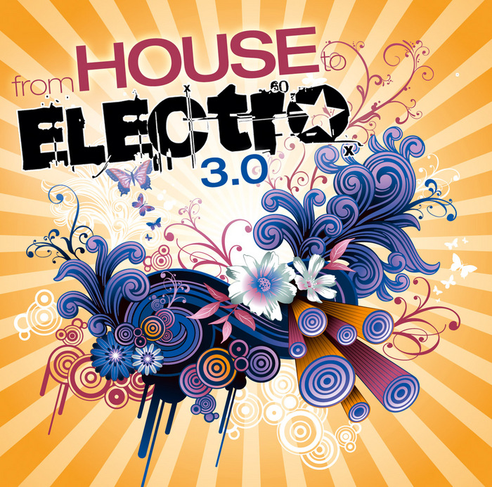 VARIOUS - From House To Electro 3 0