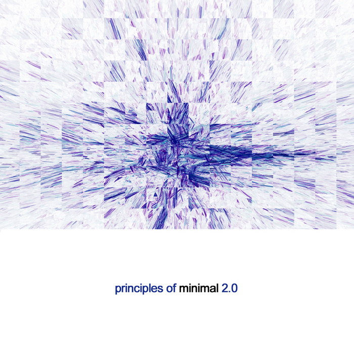 VARIOUS - Priniciples of Minimal 2.0