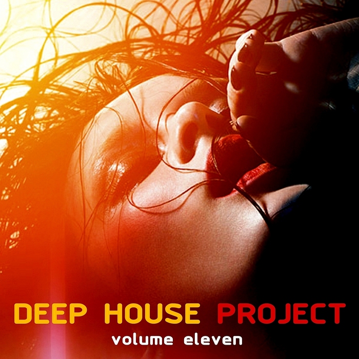 VARIOUS - Deep House Project Vol 11