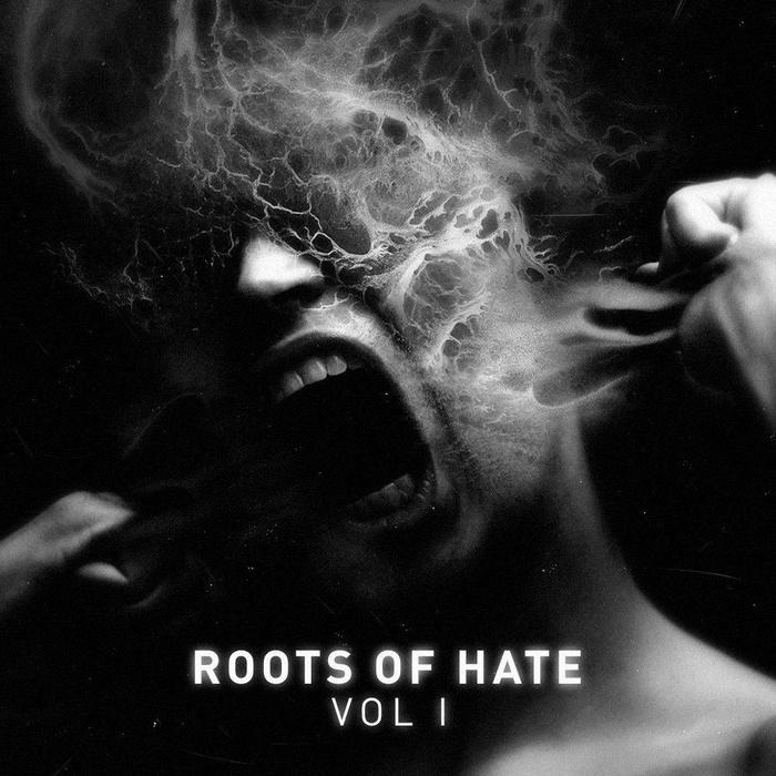 VARIOUS - Roots Of Hate Vol 1
