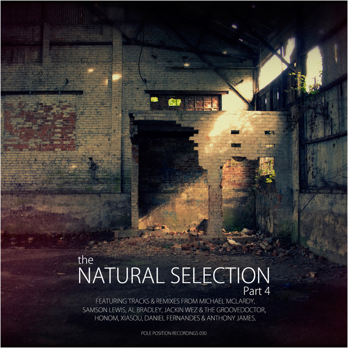 VARIOUS - Natural Selection EP 4