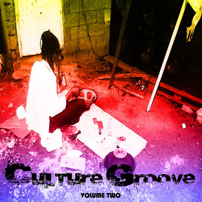 VARIOUS - Culture Groove Vol 2 Platinum Edition