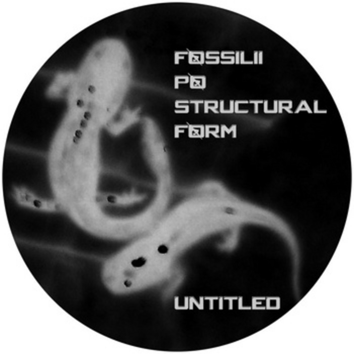 FOSSILII/PO/STRUCTURAL FORM - Untitled