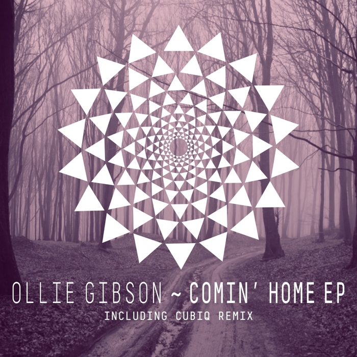 GIBSON, Ollie - Comin' Home EP Incl Cubiq Remix
