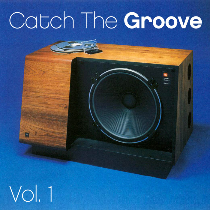 VARIOUS - Catch The Groove Vol 1