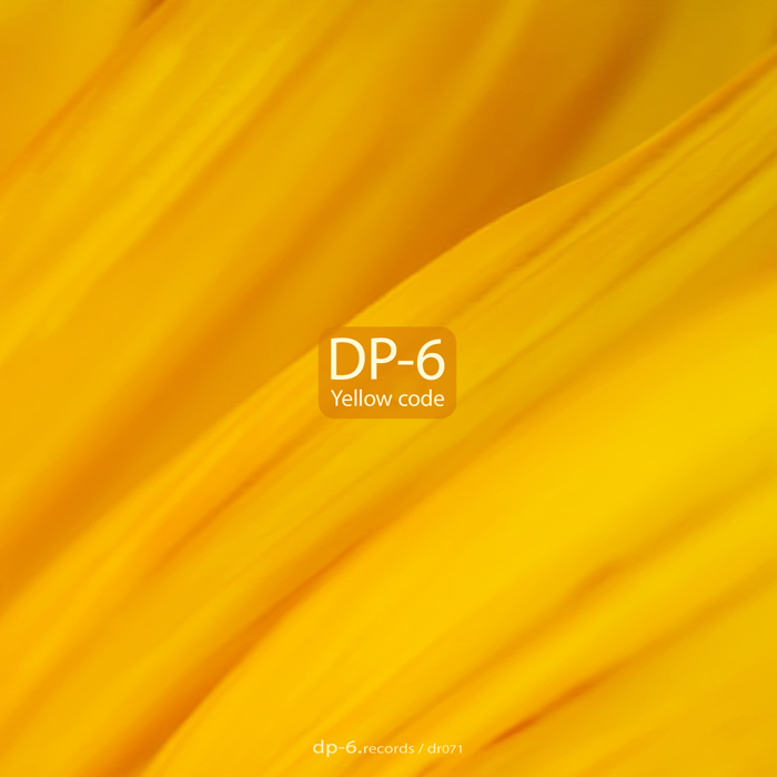 DP 6 - Yellow Code
