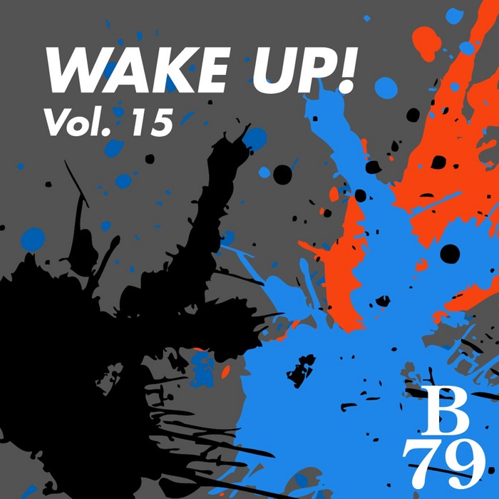 VARIOUS - Wake Up!, Vol.15