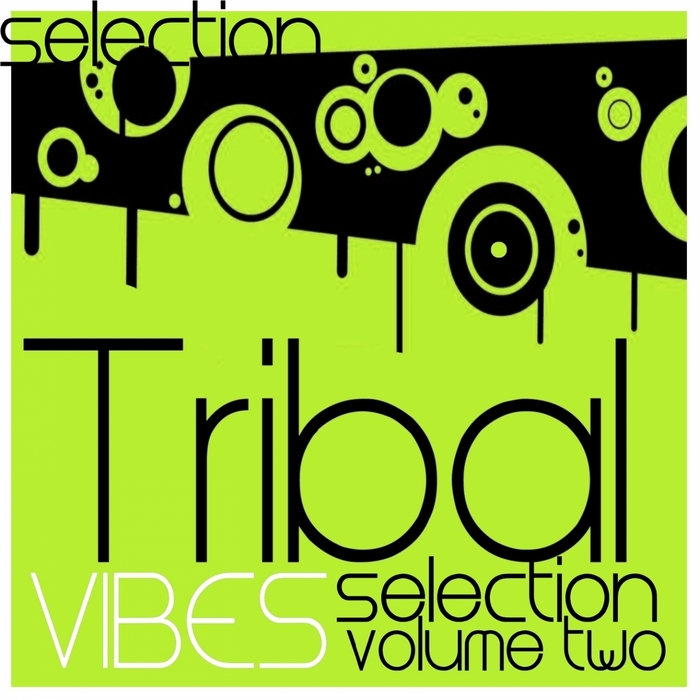VARIOUS - Tribal Vibes Selection Vol 2