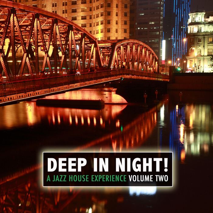 VARIOUS - Deep In The Night!, Vol.2 - A Jazz House Experience