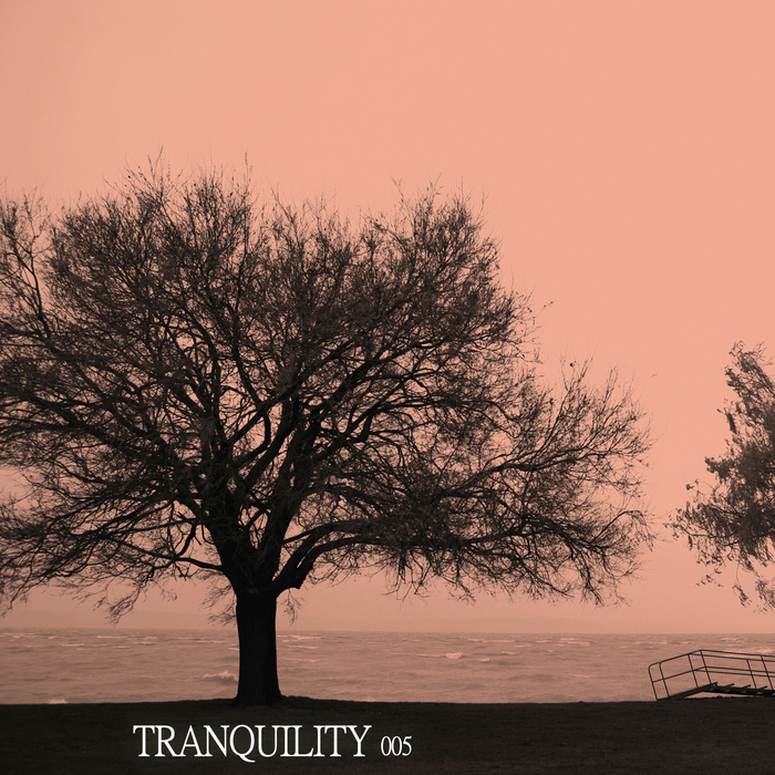 VARIOUS - Tranquility 005