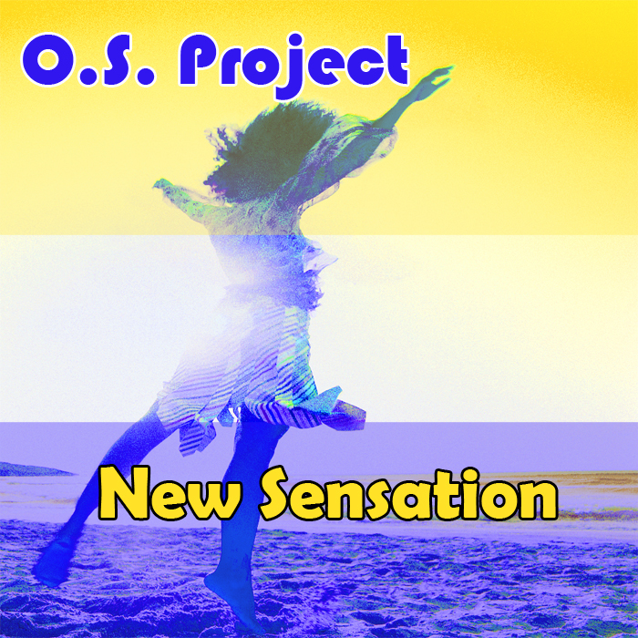 OS PROJECT - New Sensation