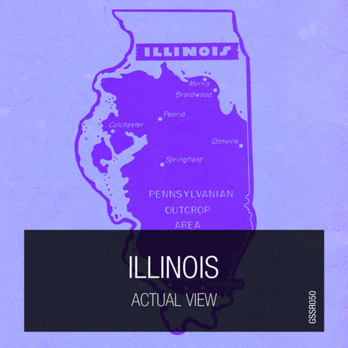 ACTUAL VIEW - Illinois